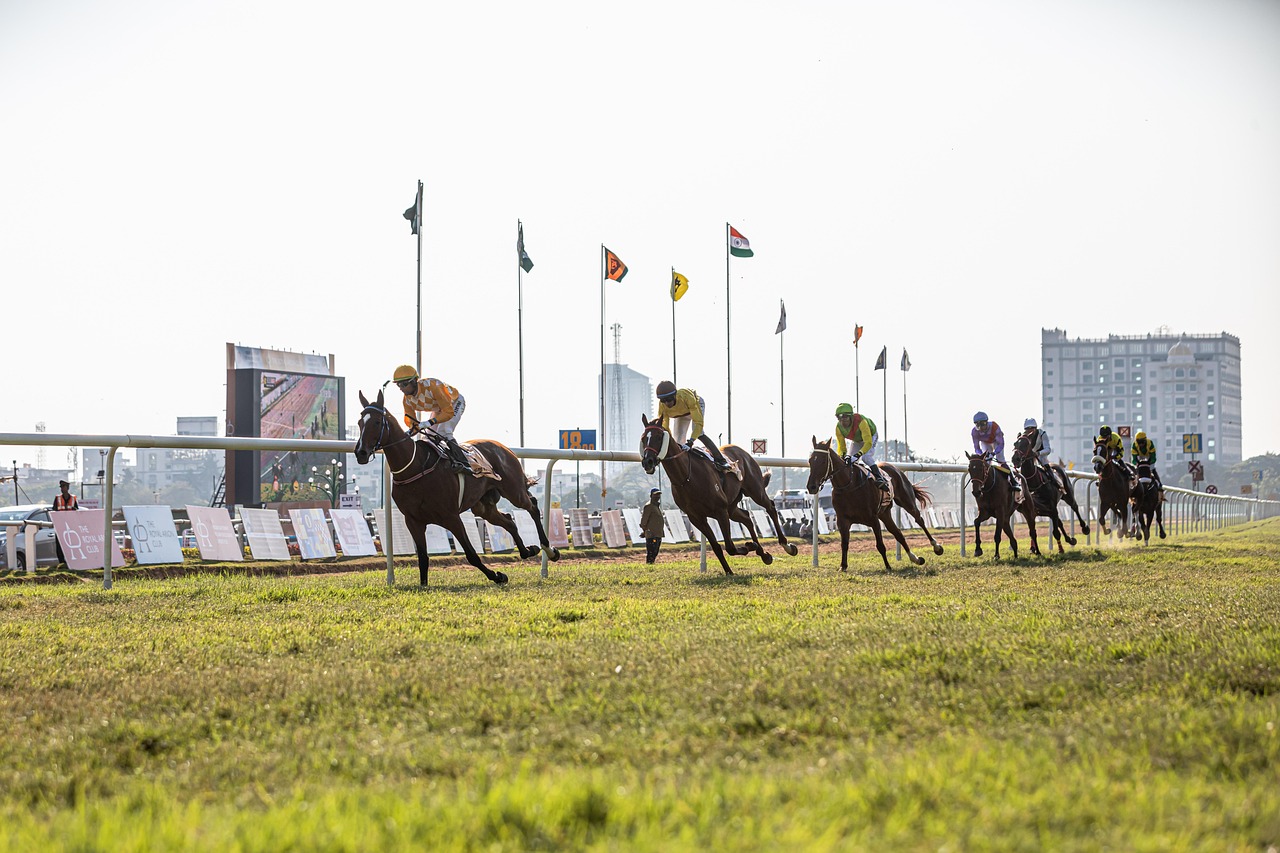 Secure Horse Racing Betting India Tutorial 2026: Step-by-Step Guide for India (2027)